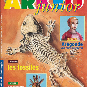 Arkéo junior n° 5Les fossiles