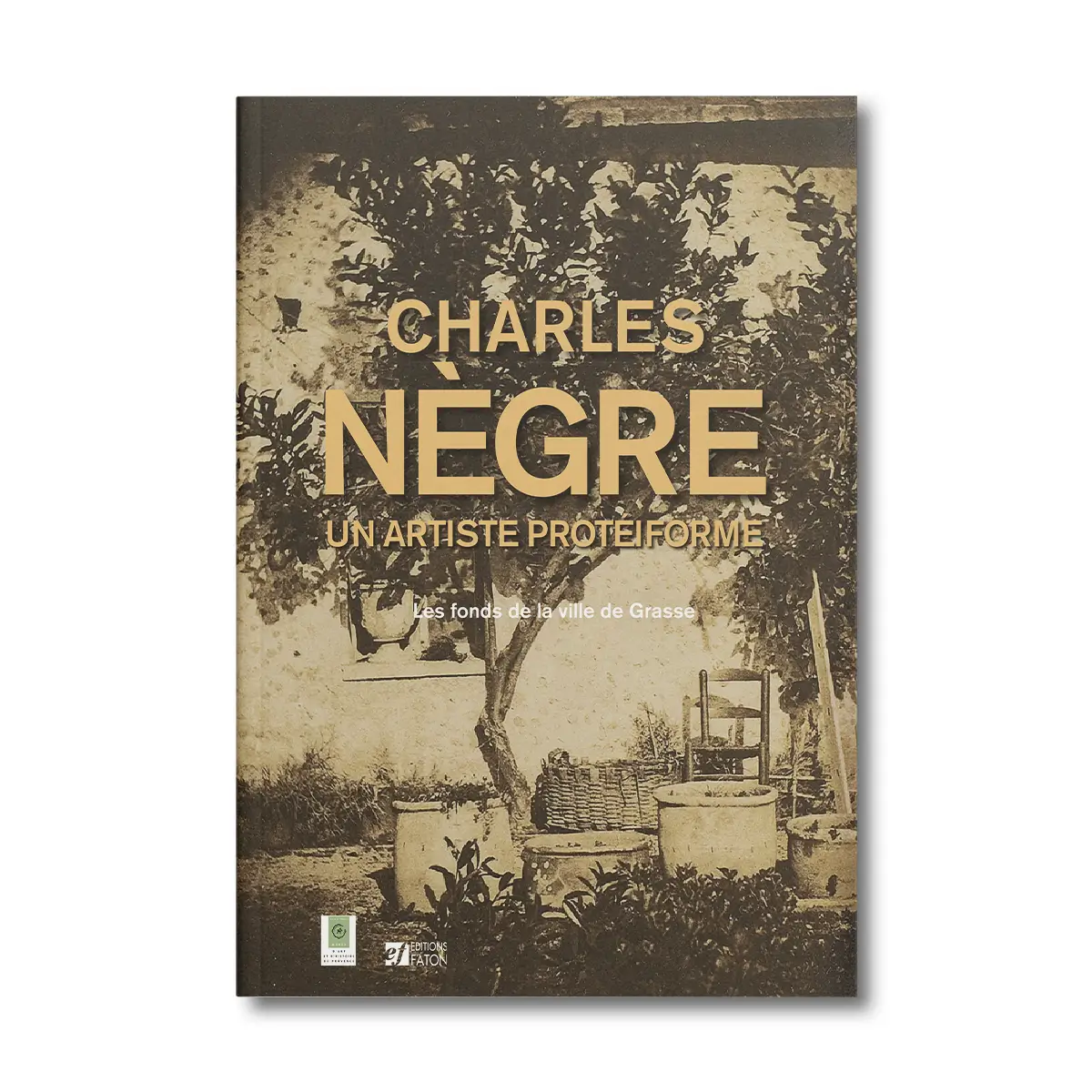 Charles Nègre, un artiste proteiforme - Editions Faton