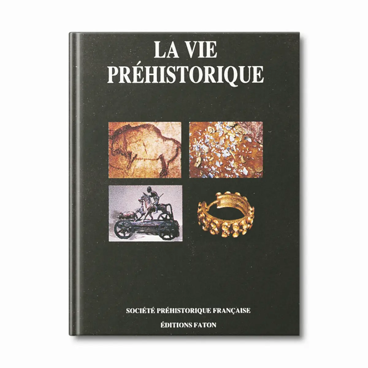 La vie Préhistorique - Editions Faton