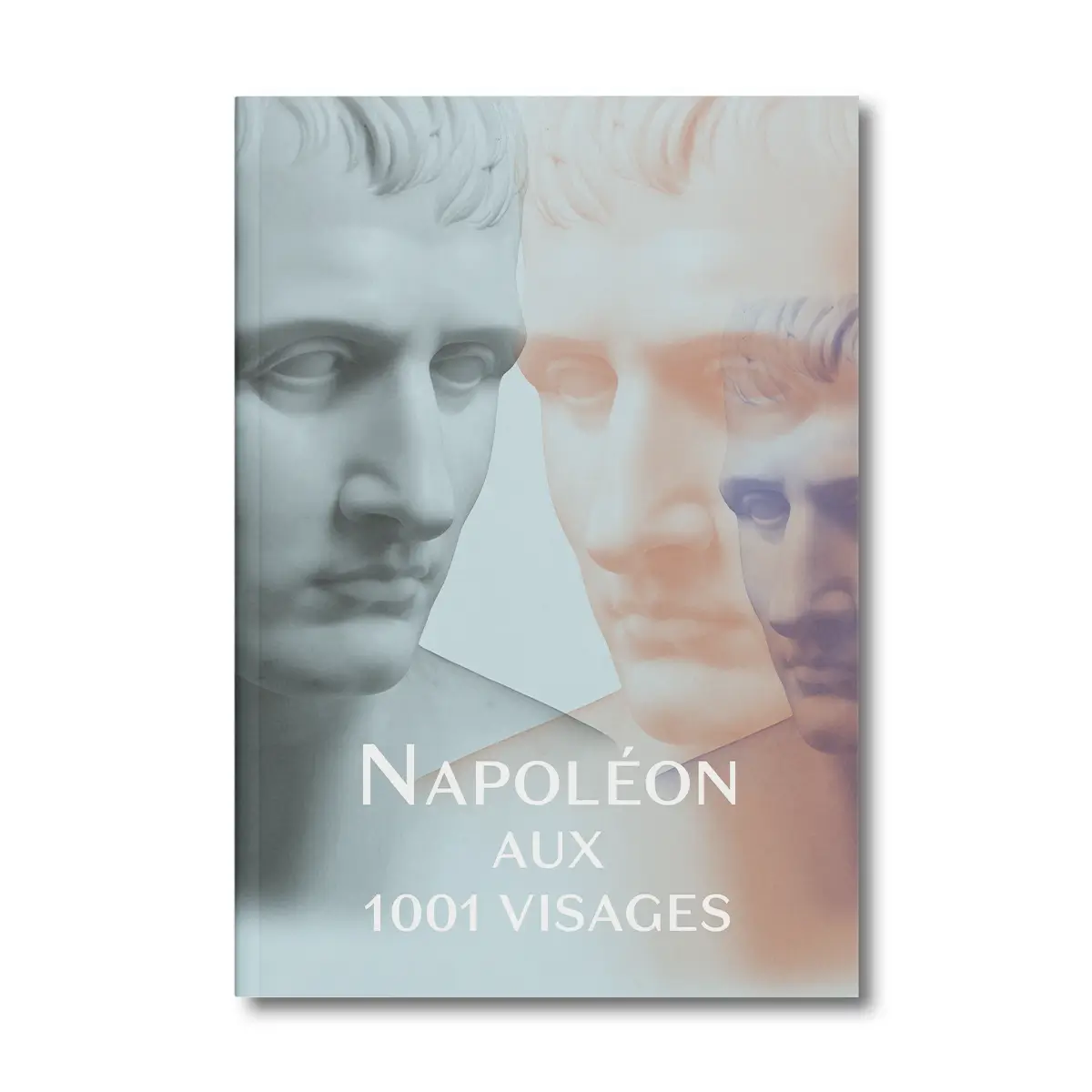 Napoléon aux 1001 visages - Editions Faton
