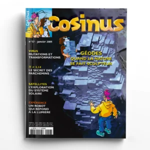 Cosinus n° 57Géodes : quand la nature se fait sculpteur