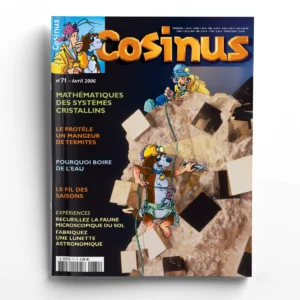 Cosinus n° 71Mathématiques des systèmes cristallins