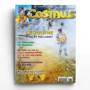 Cosinus n° 73Le soufre vital et polluant