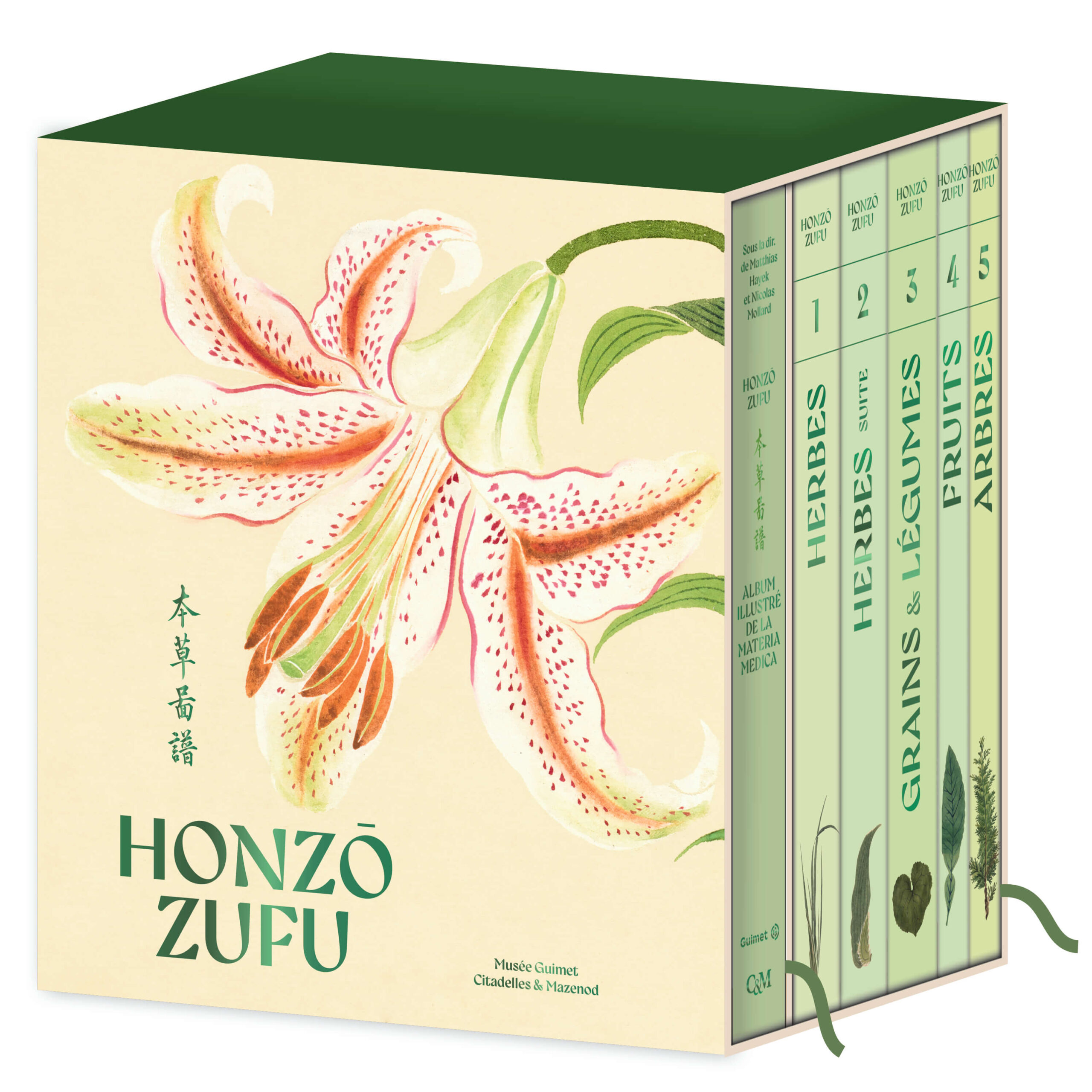 HONZO ZUFU