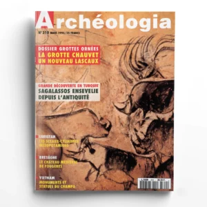 Archéologia n° 310La grotte de Chauvet, un nouveau lascaux