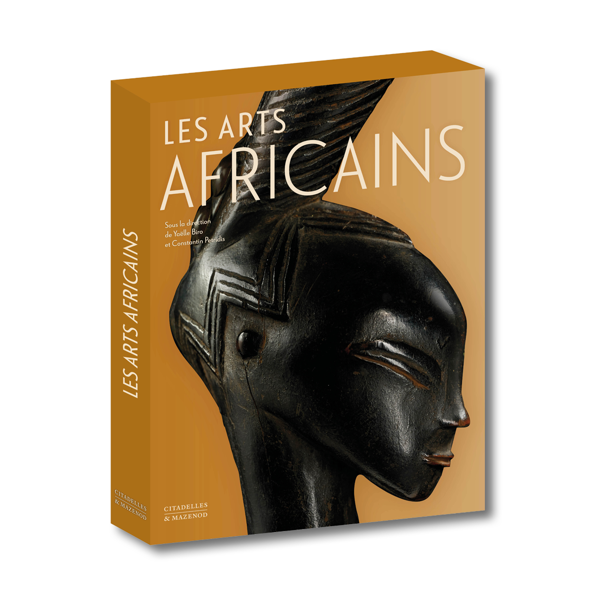Les arts africains