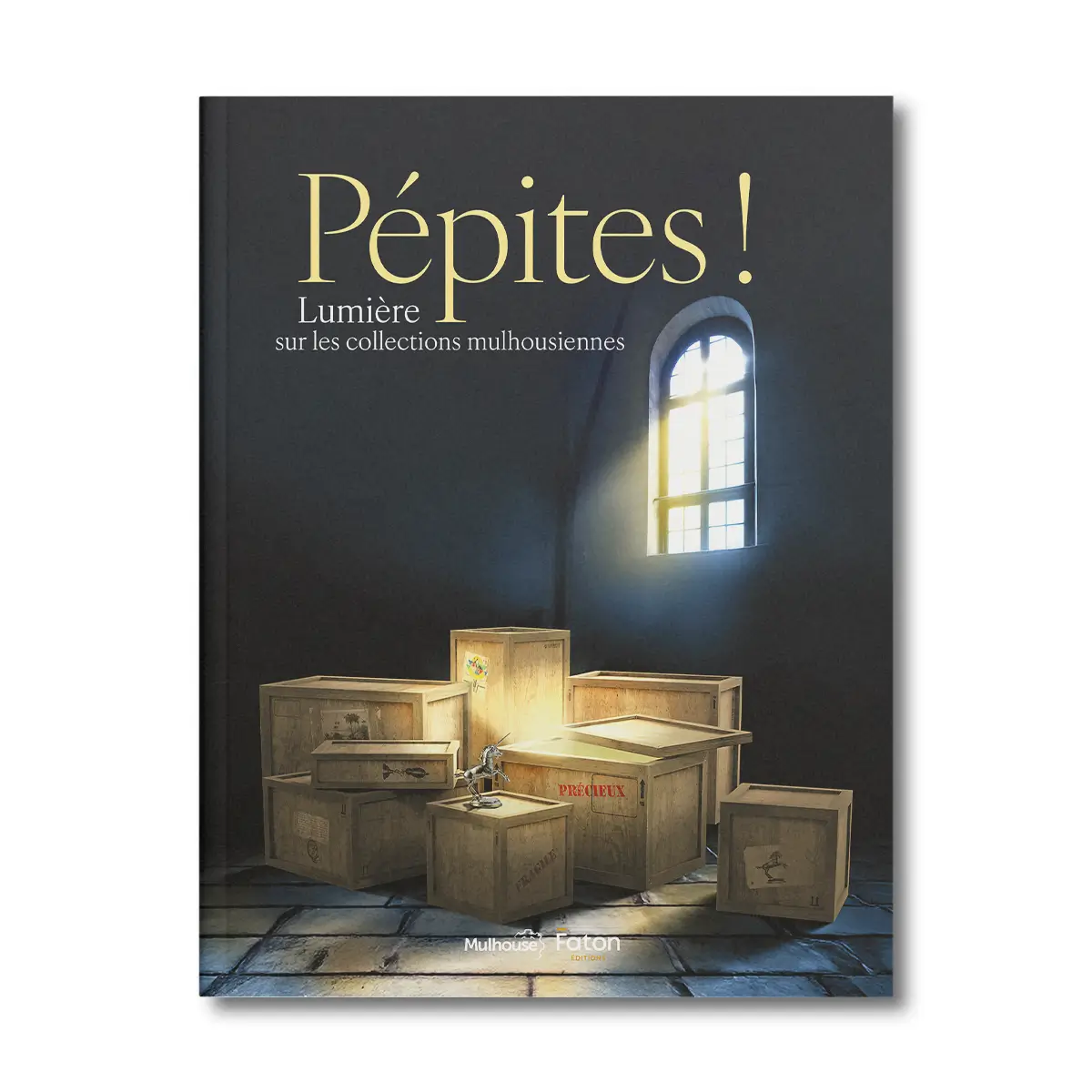 Pépites, lumière sur les collections mulhousiennes - Editions Faton