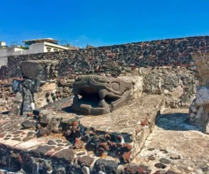 Vignette article - L’album photo - le Templo Mayor