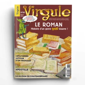 Virgule n° 60Le roman : histoire d'un genre trop bizarre !