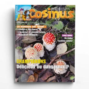 Cosinus n° 164Champignons : délicieux ou dangereux ?