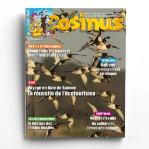 Cosinus n° 170Baie de Somme : la réussite de l'écotourisme