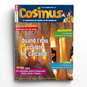 Cosinus n° 175Quand l'eau sculpte le calcaire