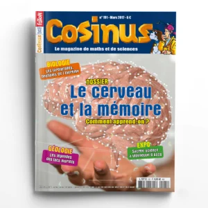 Cosinus n° 191Le cerveau et la mémoire
