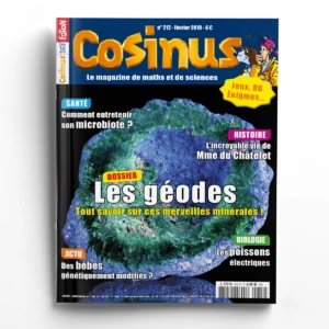 Cosinus n° 212Les géodes, tout savoir sur ces merveilles minérales !