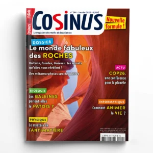 Cosinus n° 244Le monde fabuleux des roches