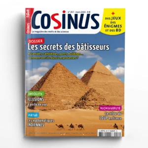 Cosinus n° 257<br>Les secrets des bâtisseurs