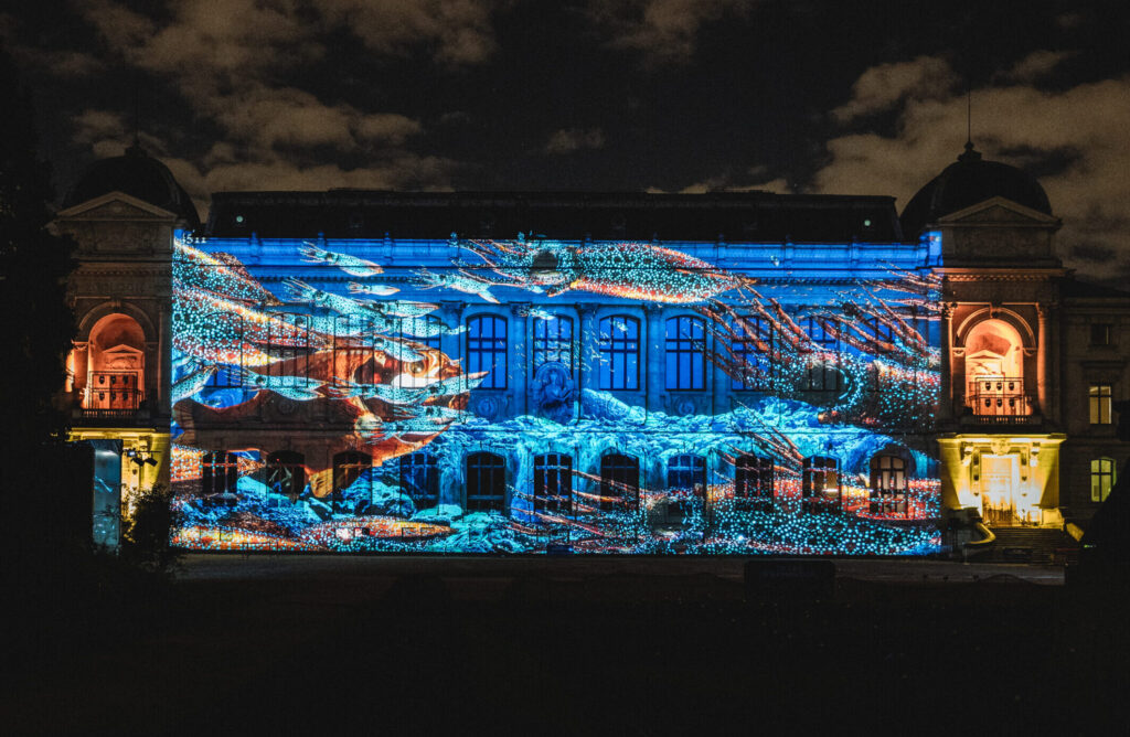 En voie d'illumination 2025