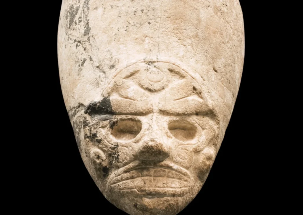 zemni île de la dominique