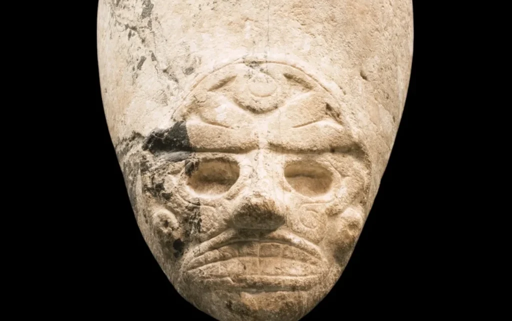 zemni île de la dominique