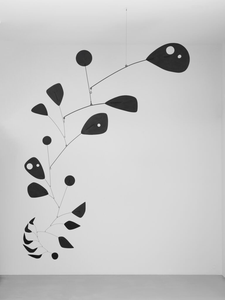 Alexander Calder Black Widow