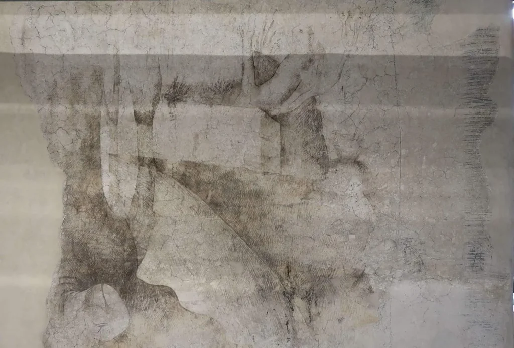 sala-delle-asse-dessin léonard de Vinci mûriers