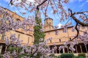 Le grand cloître du musée des Augustins