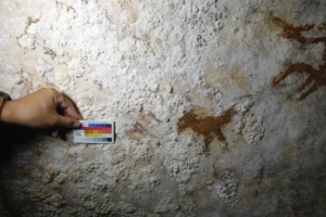 Pochoirs de mains à peine visibles à gauche et à droite de l’oiseau dans la grotte de Liang Metanduno, sur l’île de Muna, au sud-est de l’Indonésie.