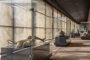 Pompéi parc archéologique nouvelle galerie palestre calques victimes