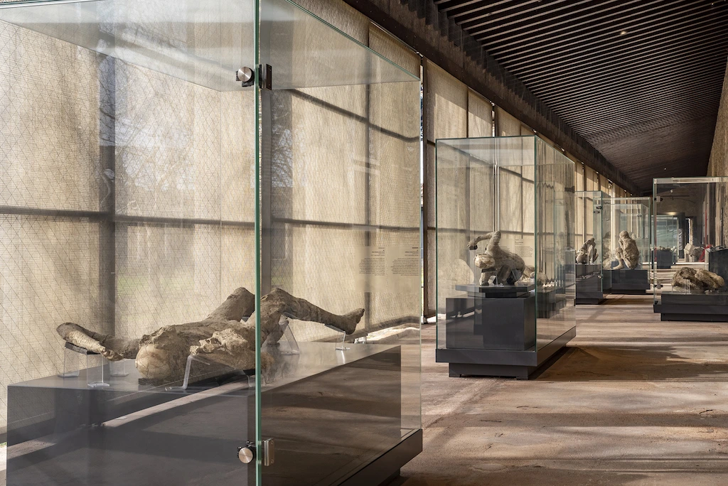 Pompéi parc archéologique nouvelle galerie palestre calques victimes