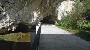 La méthode de datation au carbone 14 doit être employée avec prudence. En effet, de nombreux biais ont été reconnus depuis son invention dans les années 1950. Il est donc nécessaire de calibrer les dates brutes. C’est en particulier le cas pour le fameux « effet réservoir », aujourd’hui bien identifié : entrée de la grotte de Tito Bustillo, qui vient de faire l’objet de nouvelles analyses.