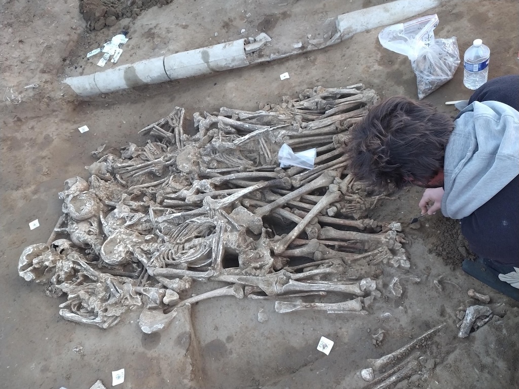 Sépultures multiples mises au jour dans le cimetière de l'hôtel-Dieu du Mans.